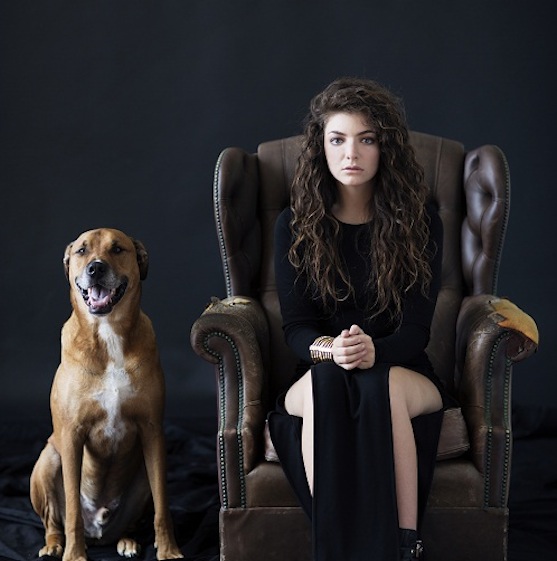 lorde_dog