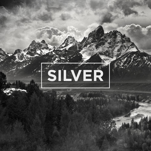 The_NBHD_silver