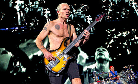 flea_red_hot_chili_peppers_live