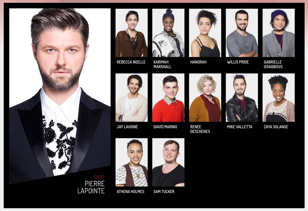 candidats la voix 2017 pierre lapointe